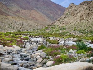 La route de Srinagar à Leh