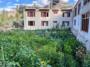 Le magnifique jardin fleuri de Tsetan guesthouse