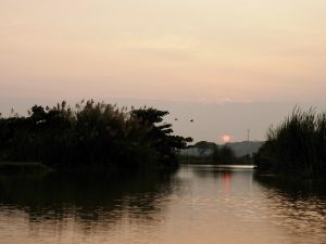 coucher de soleil en kayak dans les mangroves, Tangalle