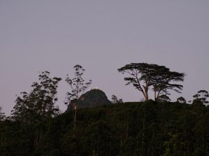 Ascension d'Adams Peak - Sri Pada