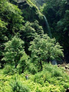 Trek dans l'Himalaya Indien, trek autour de Rishikesh dans l'Uttarakhand