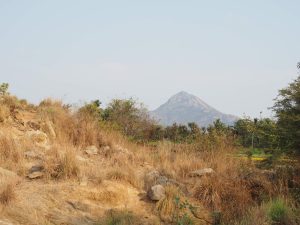 Vue sur Arunachala, Tiruvannamalai